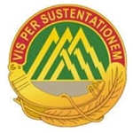 US Army Unit Crest: 70th Support Battalion - Motto: VIS PER SUSTENTATIONEM
