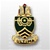 US Army Unit Crest: Sergeants Major Academy - OBSOLETE! AVAILABLE WHILE SUPPLIES LAST! Motto: ULTIMA