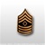 US Army Tie Tac: E-8 First Sergeant (1SG)