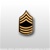 US Army Tie Tac: E-8 Master Sergeant (MSG)