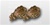 Attachment:   Bronze Oak Leaf Cluster - 5/16" - 2 On Bar - For Ribbon or Full Size Medal