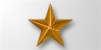 Attachment:        Bronze Star 5/16" - For Ribbon or Full Size Medal