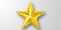 Attachment:    Gold Star 5/16" - For Ribbon or Full Size Medal