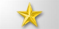 Attachment:    Gold Star 3/16" - For Ribbon or Full Size Medal