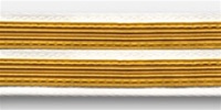 US Army Service Stripes For Male White Uniform:  2 Stripes