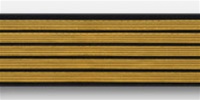 US Army Service Stripes For Female Blue Uniform: 5 Stripes