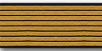 US Army Service Stripes For Female Blue Uniform: 8 Stripes