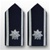 USAF Female Mess Dress Boards:  O-5 Lieutenant Colonel (Lt Col)
