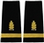 US Navy Staff Officer Softboards: Ensign - Dental Corp