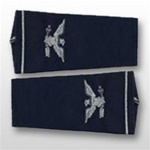 USAF Male Large Officer Epaulets:  O-6 Colonel (Col)