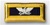 US Army Female Shoulder Straps: CHEMICAL - Colonel - Nylon