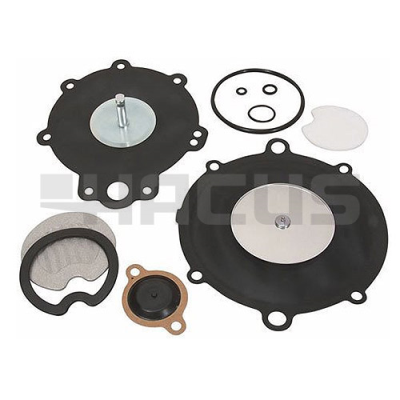 OVERHAUL KIT - DIAPHRAGM