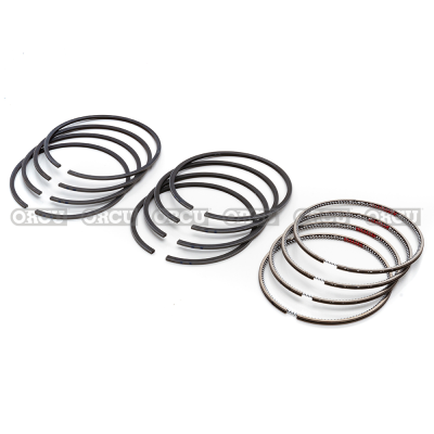 PISTON RING SET 1DZ STD