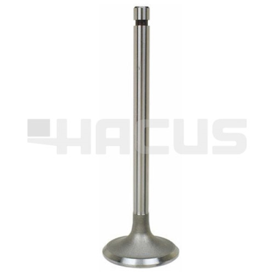 INTAKE VALVE