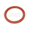 REAR OIL SEAL