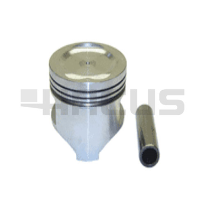 PISTON & PIN (.25MM)