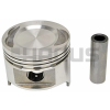 PISTON & PIN (.50MM)