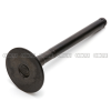 EXHAUST VALVE 5R