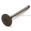 EXHAUST VALVE 6CYL