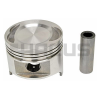 PISTON & PIN (.25MM) FE