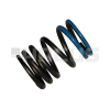 VALVE SPRING