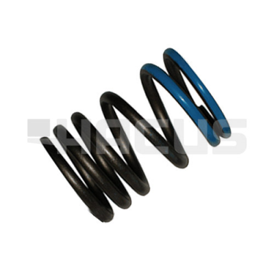 VALVE SPRING