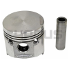 PISTON & PIN SET (.75MM)