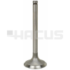 INTAKE VALVE