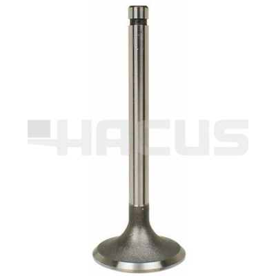 INTAKE VALVE