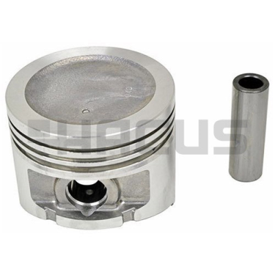 PISTON & PIN SET (1.00MM)