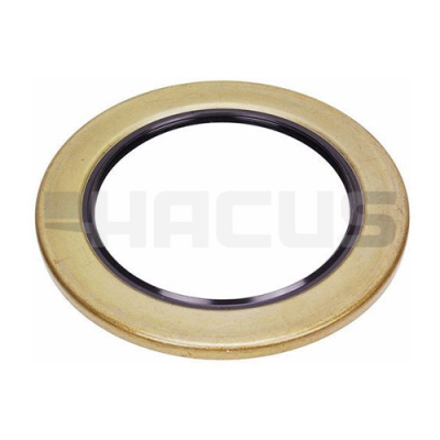 OIL SEAL