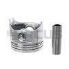 PISTON & PIN (.25MM) F2