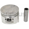 PISTON & PIN SET (.50MM)