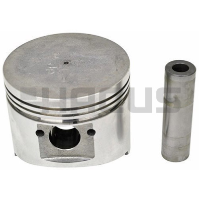 PISTON & PIN SET (.75MM)