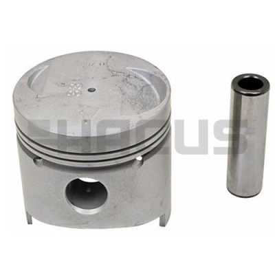 PISTON & PIN SET (.75MM)