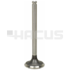 EXHAUST VALVE