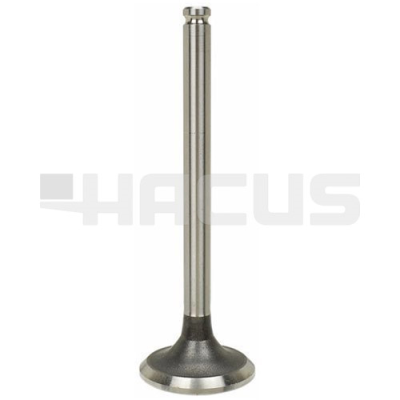 EXHAUST VALVE