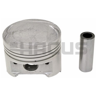 PISTON & PIN SET (.25MM)