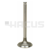 EXHAUST VALVE