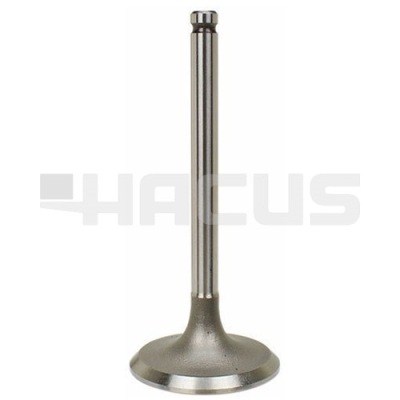 INTAKE VALVE