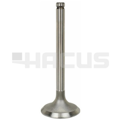 INTAKE VALVE