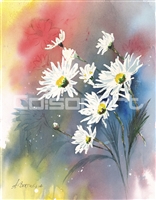 Anthony Bertuglia Daisies