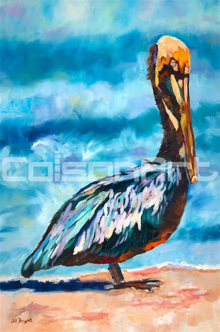 Jill Bright Pelican