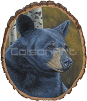 Black Bear on Basswood by Jeffrey Hoff