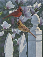 Cardinals and Magnolias by Jeffrey Hoff