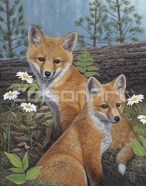 Summertime Fox Kits by Jeffrey Hoff