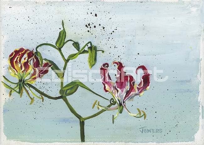 Flame Lily by Cheryl Jowers