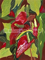 Anthuriums by Earle McKey