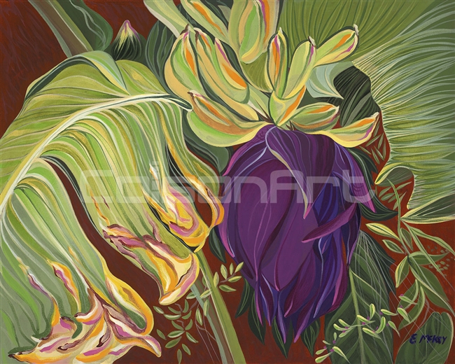 Banana Plant by Earle McKey