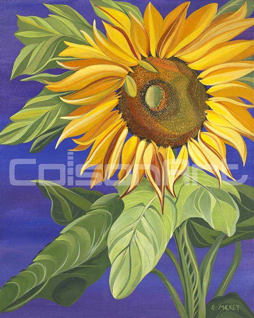Sunflower E by Earle McKey